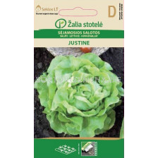 Семена салата /Justine, Butterhead / 'SK-1 оп 0,3 гр - sortovisemena.bg Семена салата /Justine, Butterhead / 'SK-1 оп 0,3 гр