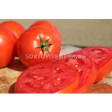 Семена домати Нов Биг Биф Плюс F1/SVTH3438/ - 100 семена