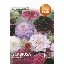 Семена Скабиоза микс`SG