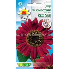 Семена Декоративен слънчоглед - Red Sun