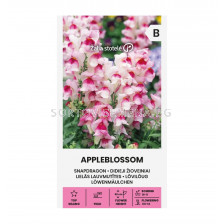 СК СЕМЕНА КУЧЕНЦА SNAPDRAGON, APPLEBLOSSOM