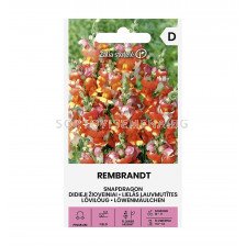 СЕМЕНА КУЧЕНЦА РЕМБРАН SNAPDRAGON | REMBRANDT - СК