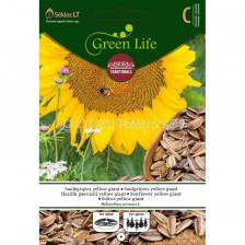 Семена слънчоглед ядлив / SUNFLOWER Yellow Giant / 'SK - 1 оп
