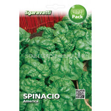 Семена Спанак America`SG