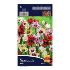 Спараксис Микс 