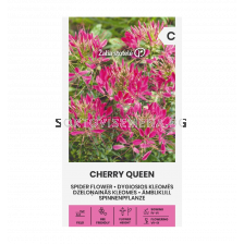 СК КЛЕОМЕ CHERRY QUEEN, CLEOME