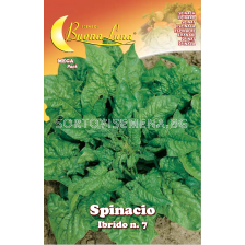 Семена Спанак SPINACIO IBRIDO N.7 MEGA PACK - BL