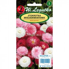 ЛГ МАРГАРИТКИ МИКС Bellis perennis large fl. mixture 