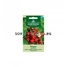 Семена Ягоди RUGEN- 'SK 