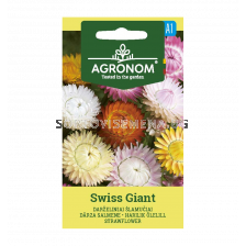 СК ХЕЛИХРИЗУМ STRAWFLOWER, TOM THUMB