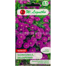 Делосперма /Delosperma ecklonis purple-pink / LG 1 оп
