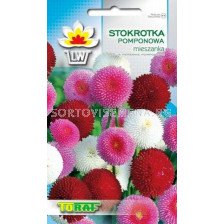 Семена Маргарита - помпон микс