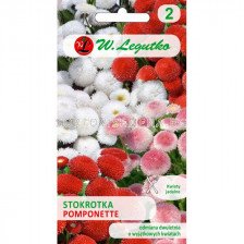 ЛГ ПАРИЧКИ ПОМПОНЕТ МИКС Bellis perennis Pomponette mixture  