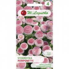 ЛГ ПАРИЧКИ ПОМПОНЕТ РОЗОВИ Bellis perennis Pomponette pink  