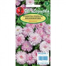 ЛГ МАРГАРИТКИ РОЗОВИ Bellis perennis large fl. Maria pink  