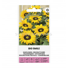 СЕМЕНА СЛЪНЧОГЛЕД БИГ СМАЙЛ SUNFLOWER | BIG SMILE -  СК