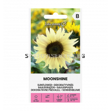 СК СЕМЕНА СЛЪНЧОГЛЕД ЛУННА СВЕТЛИНА - SUNFLOWER, MOONSHINE  