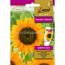 СК СЕМЕНА СЛЪНЧОГЛЕД  СЪНСПОТ ГОЛД SUNFLOWER SUNSPOT GOLD  - sortovisemena.bg СК СЕМЕНА СЛЪНЧОГЛЕД  СЪНСПОТ ГОЛД SUNFLOWER SUNSPOT GOLD