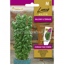 СК БОСИЛЕК ТАЙ SWEET BASIL EVERLEAF THAI TOWERS - 20 семена - sortovisemena.bg СК БОСИЛЕК ТАЙ SWEET BASIL EVERLEAF THAI TOWERS - 20 семена