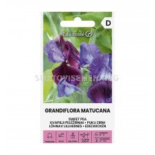 СЕМЕНА ДЕКОРАТИВЕН ГРАХ ЕДРОЦВЕТЕН МАТУКАНА SWEET PEA | GRANDIFLORA MATUCANA СК 