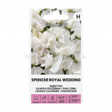 СЕМЕНА ДЕКОРАТИВЕН ГРАХ КРАЛСКА СВАТБА  SWEET PEA | SPENCER ROYAL PAKWEDDING  СК 