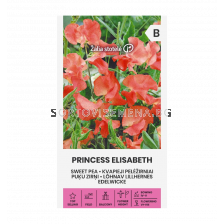 СЛАДЪК ГРАХ PRINCES ELISABET - SWEET PEA -'SK-2г 