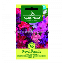 СК ДЕКОРАТИВЕН ГРАХ ROYAL FAMILY, SWEET PEA