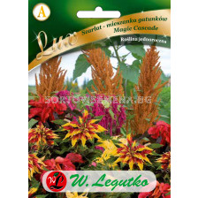 Амарантус / Amaranthus Magic Cascade / LG 1 оп 