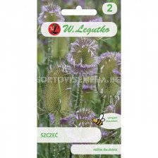 ЛГ ДИПСАКУС  Dipsacus sativus lilac