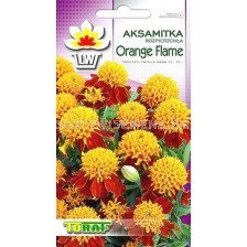 Тагетес Orang Flame -1 г