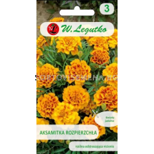 СЕМЕНА ТАГЕТЕС КРАЛИЦА СОФИЯ Tagetes patula nana double fl. GoldieSeries Queen Sophia -  ЛГ 