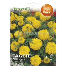 Семена Тагетес (Tagetes) Nana Palla D'oro`SG 