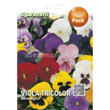 Семена Теменуга микс`SG - Violet mix `SG