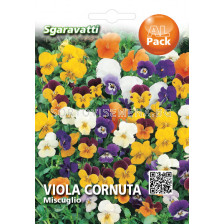 Семена Теменуга мини микс`SG - Violet mini mix`SG 