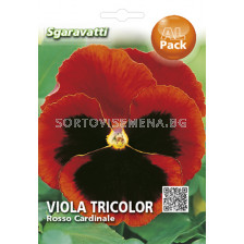 Семена теменуга Тъмно червена`SG - violet Dark red `SG