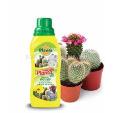 Течен тор за кактуси Planta