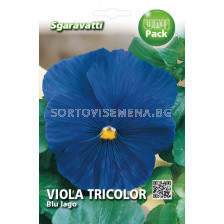 Семена Теменуга синя`SG - Violet blue`SG 