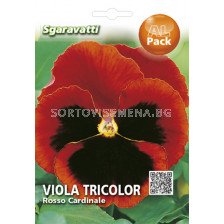 Семена теменуга Тъмно червена`SG - violet Dark red `SG