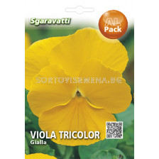 Семена Теменуга жълта`SG - Violet yellow`SG