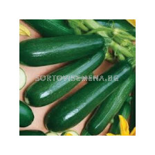 тиквички Черна красавица - 50 г