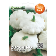 Семена тиквички Патисон`SG - zucchini Pattison`SG