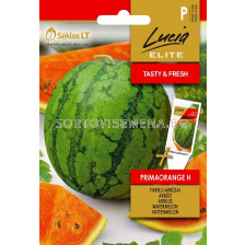 Семена Диня Примаоранж /PRIMAORANGE/ 'SK-1 оп 1 гр