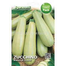 Семена тиквички тип Изобилна`SG - zucchini Isobilna `SG