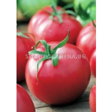 Семена домати Сайка F1 