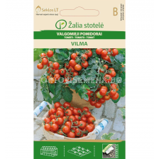 СК ЧЕРИ ДОМАТИ ВИЛМА TOMATO, VILMA 
