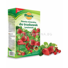 Тор за ягоди Planta