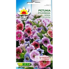 Петуния джудже - 0.1гр