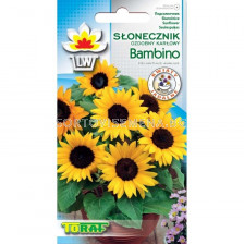 Декоративен слънчоглед / Bambino / TF - 2 гр