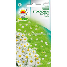 Бяла маргаритка ливадна - Bellis perennis - 0,2 g