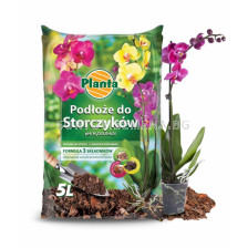 Торф за орхидеи 